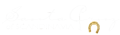 Santacruz Sticker by santacruzofscandinavia