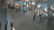 art thief GIF by Digg