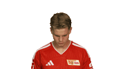 Look Up Union Berlin Sticker by Bundesliga
