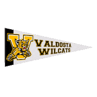 Georgia Public Broadcasting Sticker by GPB Sports