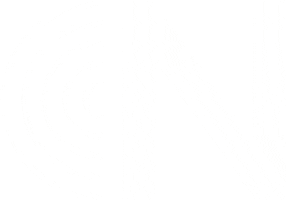 NevermindStudio nevermind ns nevermind studio nevermind trani Sticker