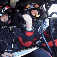 Happy Shake Hands GIF by FIA World Rally Championship