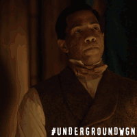 cato GIF by Underground