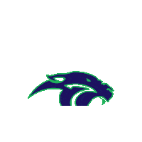 Panthers F45 Sticker by f45trainingmidvale