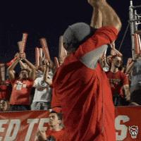 Clapping Fans GIF by NC State Athletics