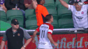 wswanderersfc celebration goal fans crowd GIF