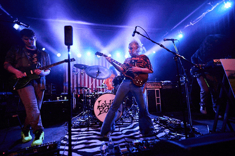 Live Music Rock GIF by wade.photo