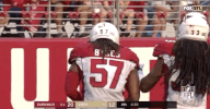 2018 Nfl Football GIF by NFL