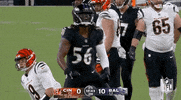 Baltimore Ravens Football GIF by NFL