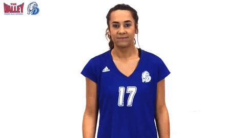 Drake Bulldogs GIF by Missouri Valley Conference