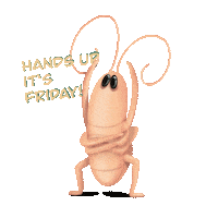 Hands Up Friday Sticker