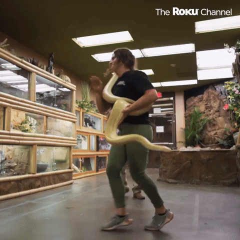 Reptile Dance