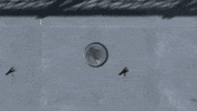 see you again boat GIF by Tyler, the Creator
