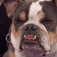 Sleepy GIF by ABC Network