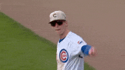 Chicago Cubs No GIF by TheDreamTeam 