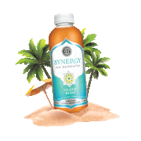 gtslivingfoods orange kombucha guava synergy Sticker