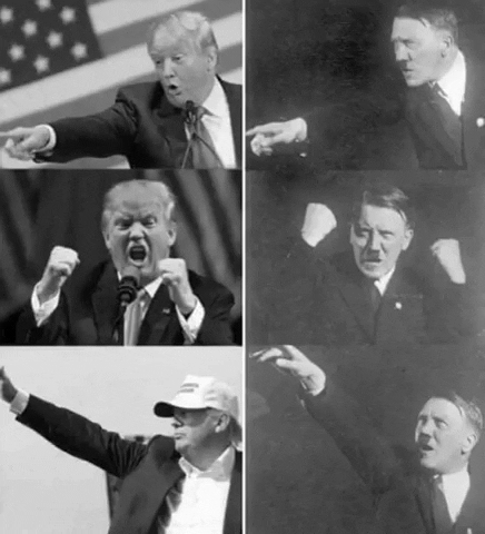 leeperkins giphygifmaker GIF