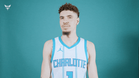 Hive Mentality Lamelo Ball GIF by Charlotte Hornets