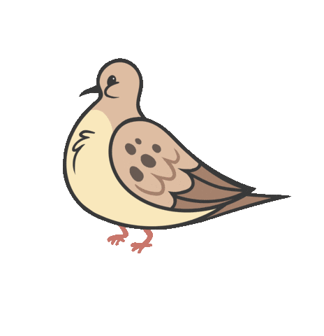 Mourning Dove Bird Sticker by Kyra
