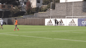 mexico national team football GIF by MiSelecciónMX