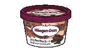 Chocolate Icecream Sticker by HaagenDazsJP