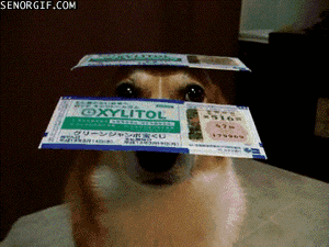 fail lottery ticket GIF by Cheezburger