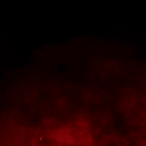 Mittelrhein_Phoenix phoenix on fire american football phoenix football GIF