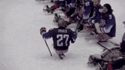 USAHockey hockey usa america celly GIF
