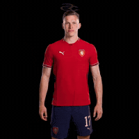Fifa World Cup Uefa GIF by Respective