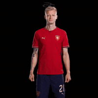 Fifa World Cup Uefa GIF by Respective