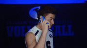 Gocougs Ncaavolleyball GIF by BYU Cougars