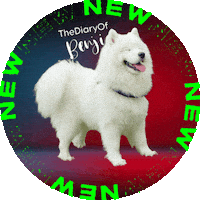Logo Breaking Sticker