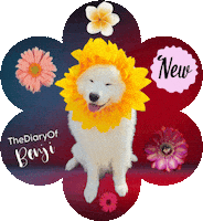 Dog Logo Sticker