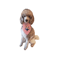 Rosie The Riveter Girl Power Sticker by Geekster Pets