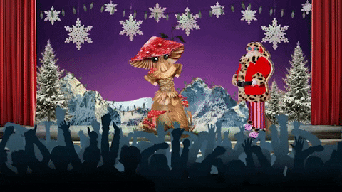 Christmas Mushroom GIF by FOX TV