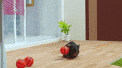 Sport Lol GIF by CANAL+