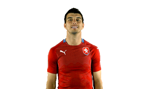 Czech Republic Ceskarepre Sticker by 2score