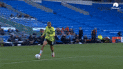 Caitlin Foord Goal GIF by Football Australia