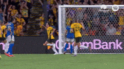 Caitlin Foord Celebration GIF by Football Australia