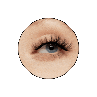Star Power Lashes Sticker by Litalita