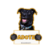 Dog Love Sticker