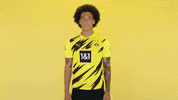 Happy Borussia Dortmund GIF by Bundesliga