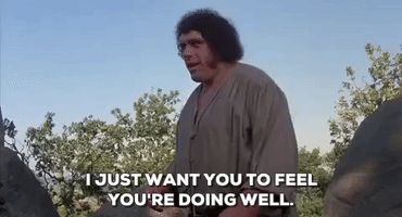 the princess bride GIF