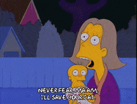 Season 3 Cat GIF by The Simpsons