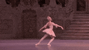 GIF by Royal Opera House
