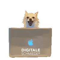 Sticker by Digitale Schmiede