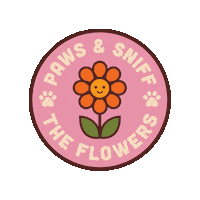 Mood Explore Sticker by Besties Pets