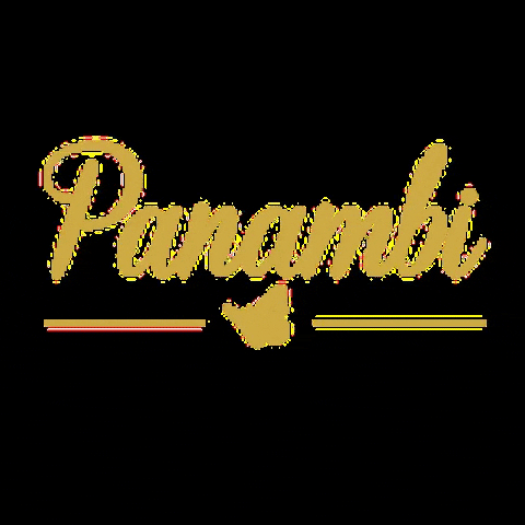 Panambi_collection panambi panambicollection panambistyle panambiday GIF