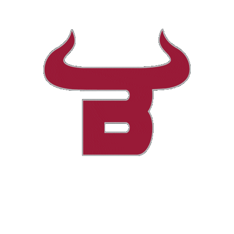 BaldwinSchoolPR giphygifmaker bullspride baldwinschoolofpr baldwinbulls Sticker