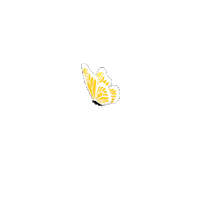 Field Day 3D Sticker by Entropico